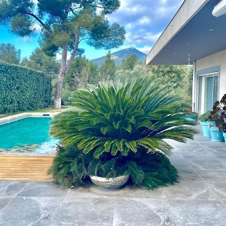 Chambre Luxe Dans Villa De Standing Avec Piscine, Acces Discret Et Independant, Terrasse Arboree Et Parking Prive ラ・ヴァレット＝デュ＝バール エクステリア 写真