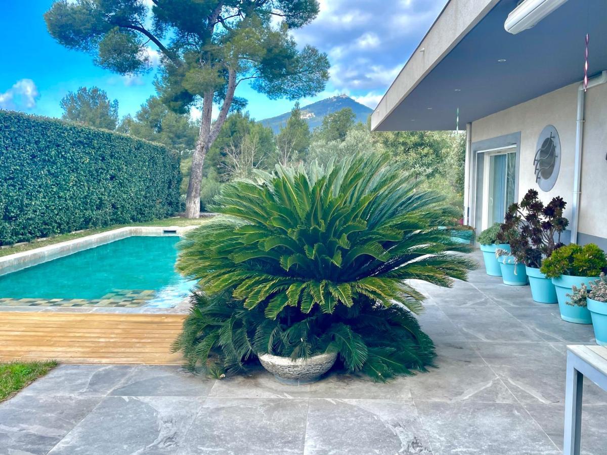 Chambre Luxe Dans Villa De Standing Avec Piscine, Acces Discret Et Independant, Terrasse Arboree Et Parking Prive ラ・ヴァレット＝デュ＝バール エクステリア 写真